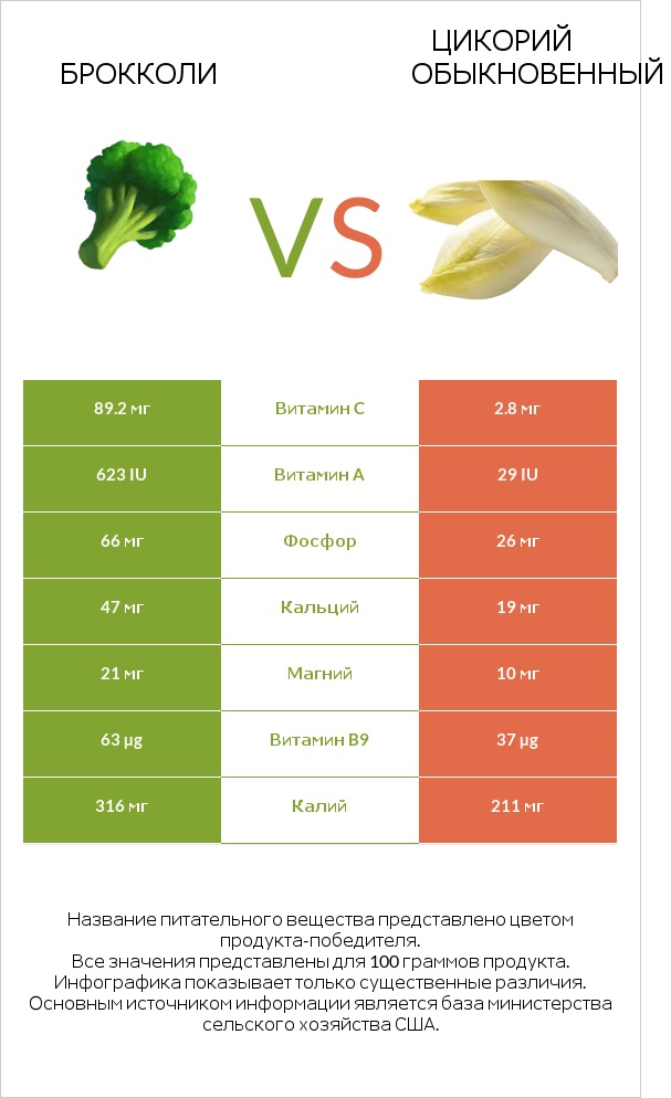 Брокколи vs Цикорий обыкновенный infographic