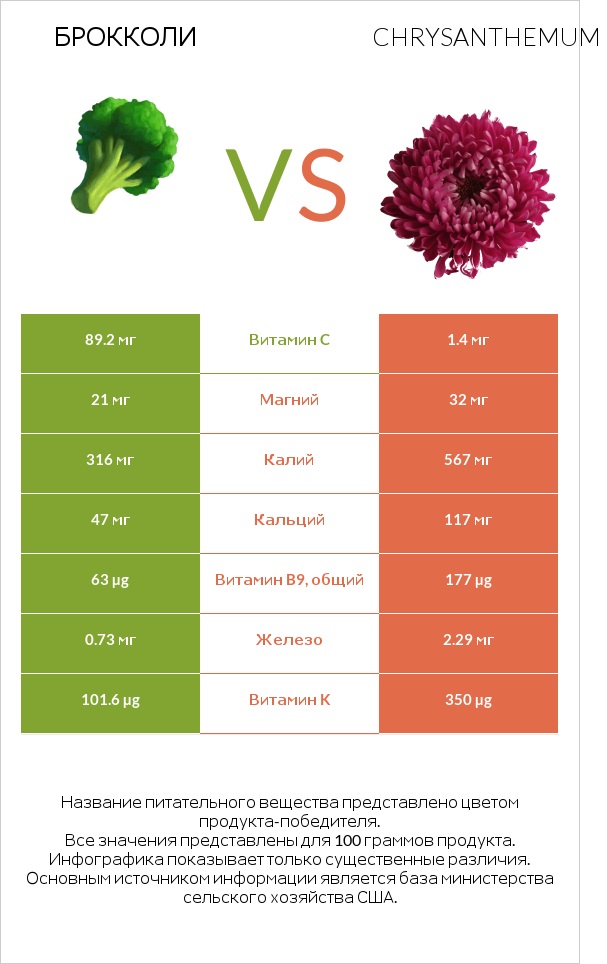 Брокколи vs Chrysanthemum infographic
