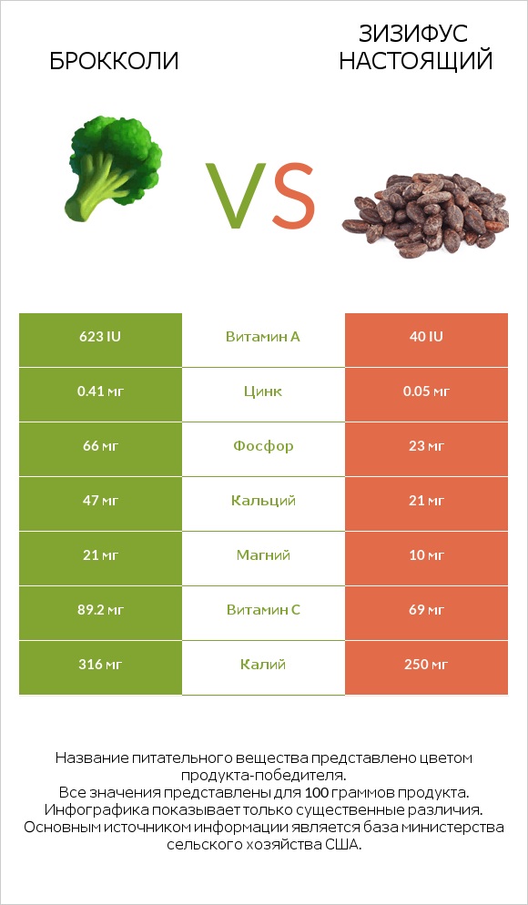 Брокколи vs Зизифус настоящий infographic