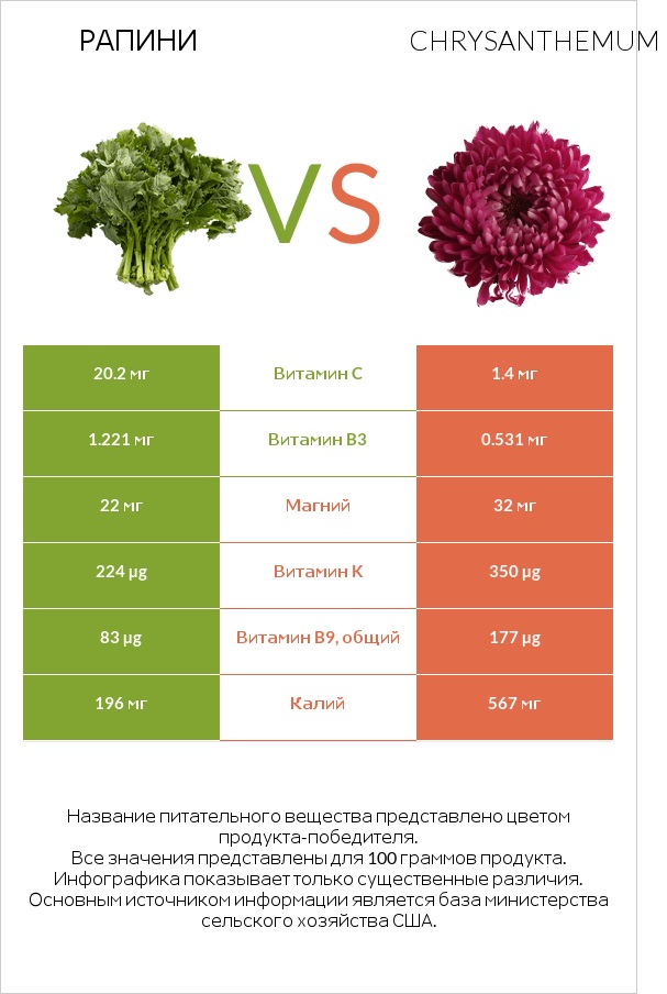Рапини vs Chrysanthemum infographic