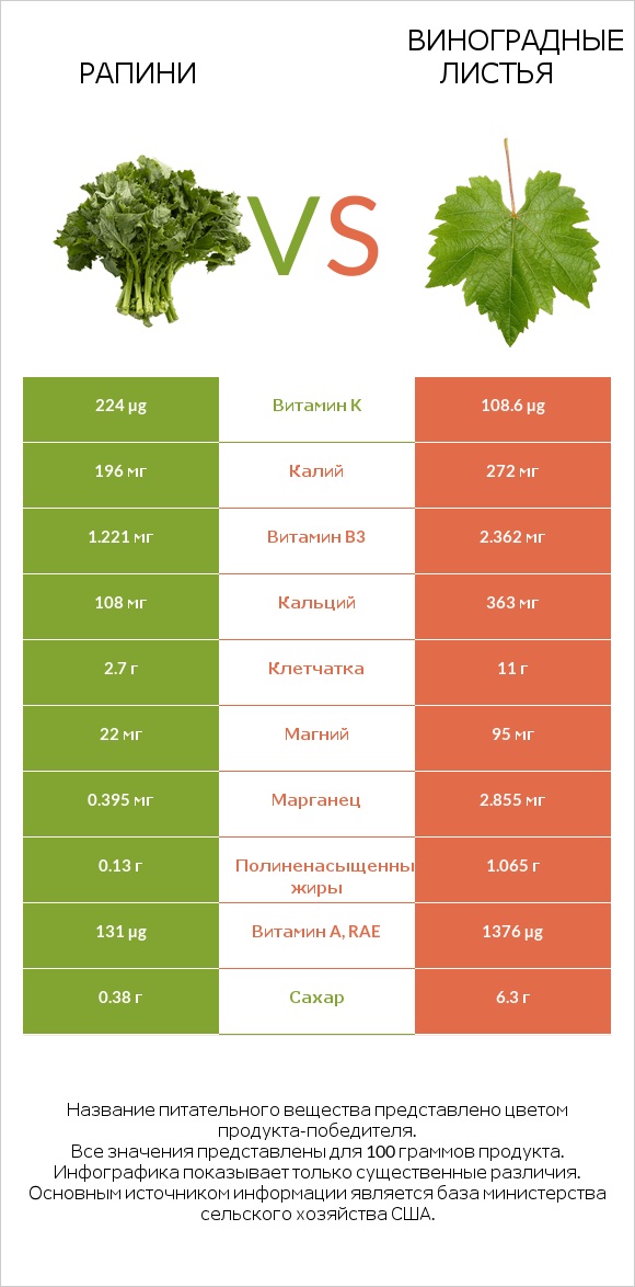 Рапини vs Виноградные листья infographic