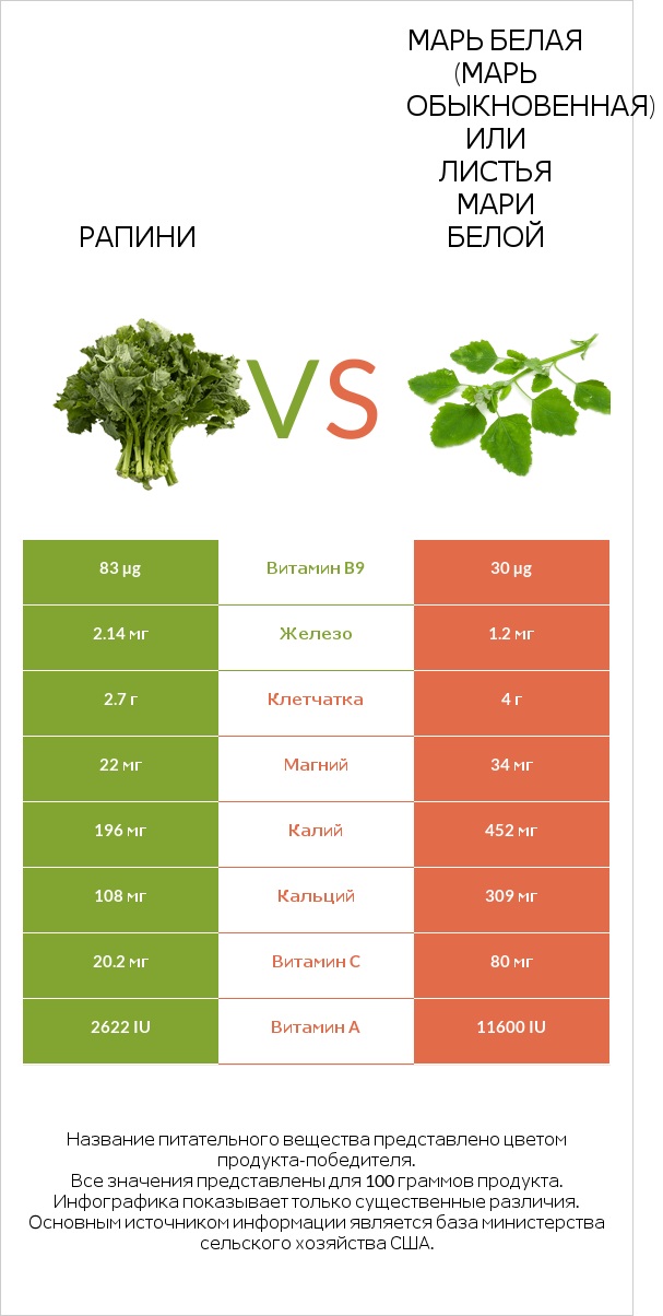 Рапини vs Марь белая (Марь обыкновенная) или Листья мари белой infographic