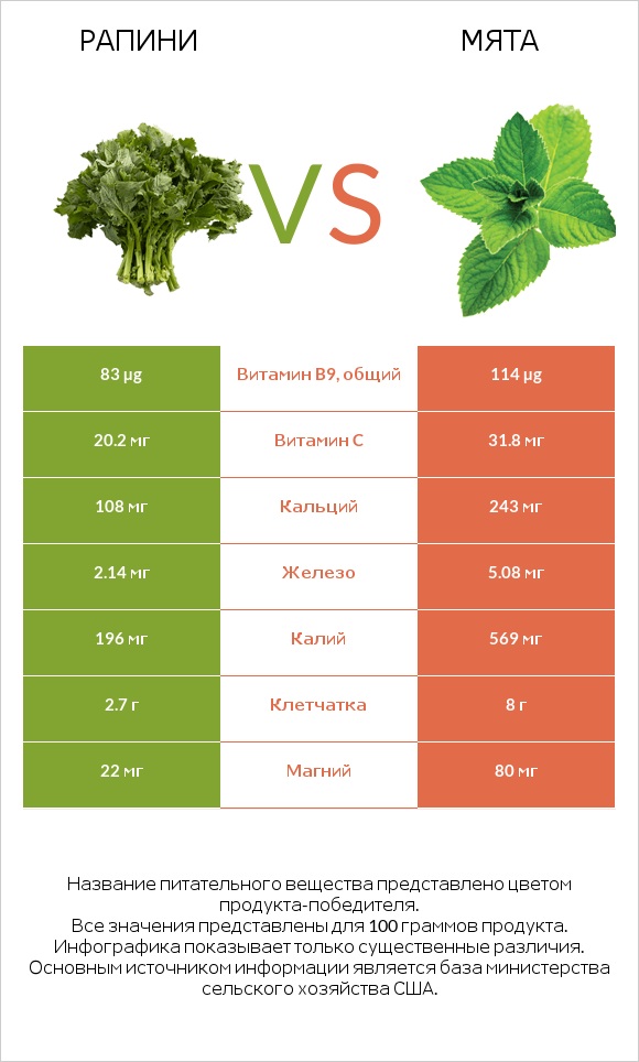 Рапини vs Мята infographic