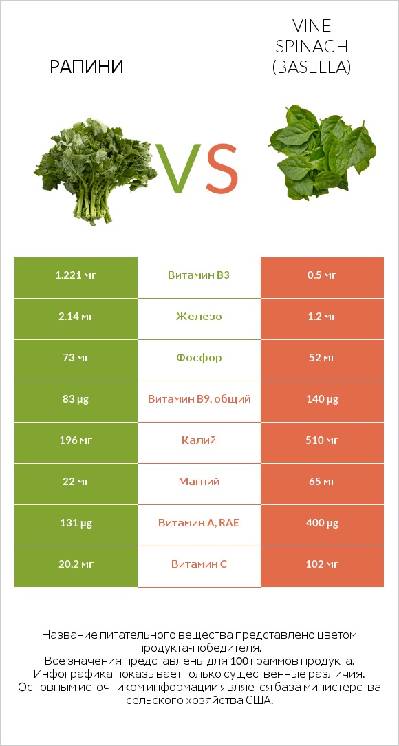 Рапини vs Vine spinach (basella) infographic