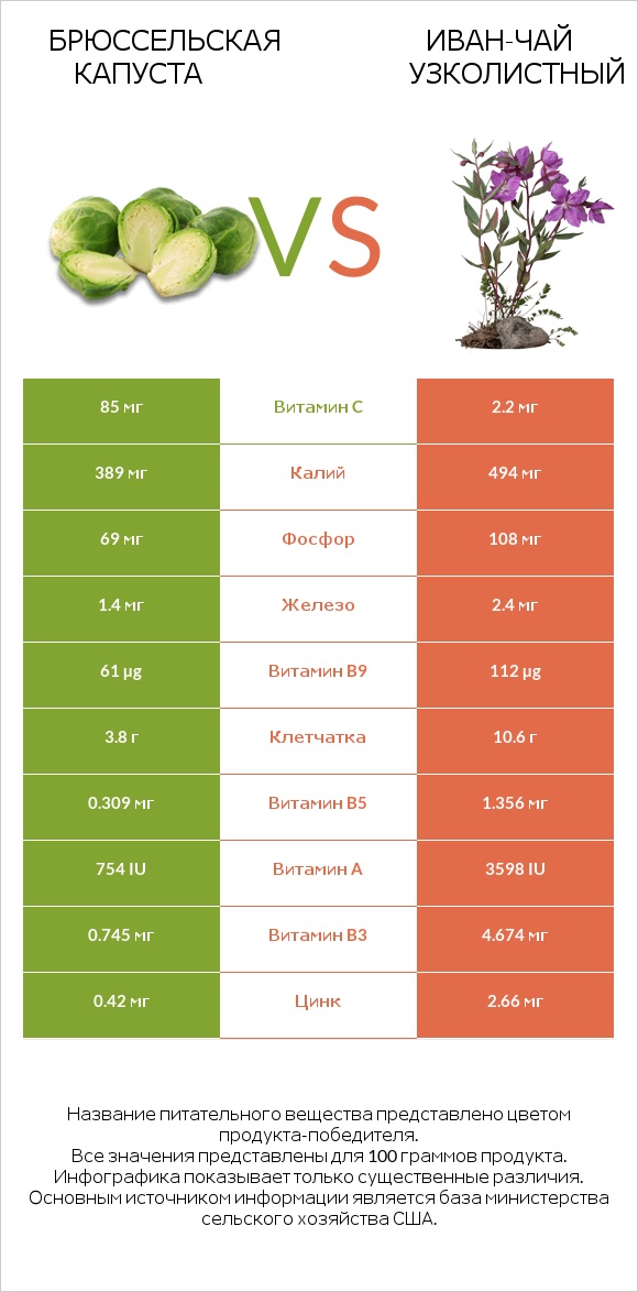 Брюссельская капуста vs Иван-чай узколистный infographic