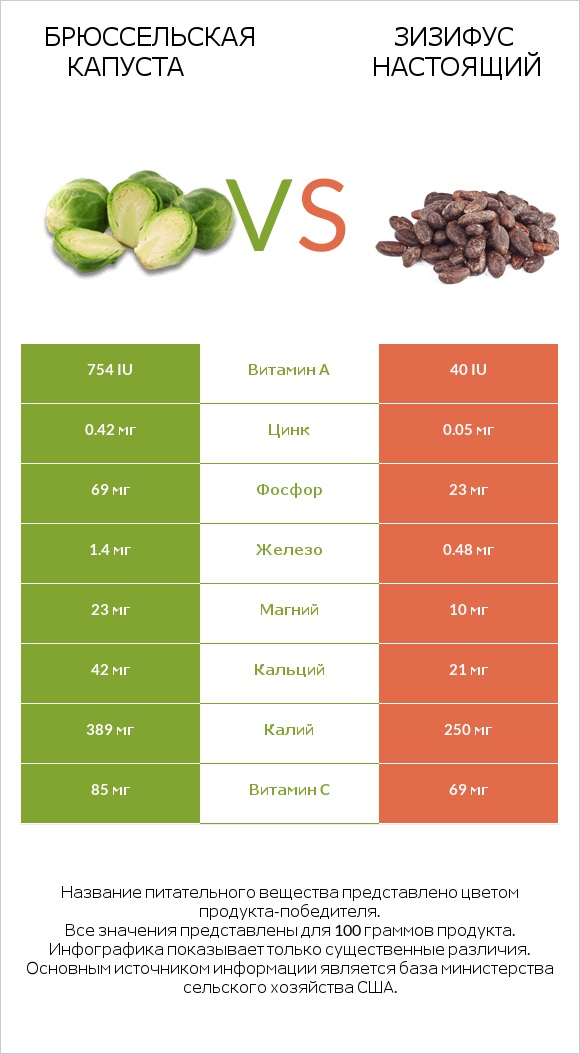 Брюссельская капуста vs Зизифус настоящий infographic