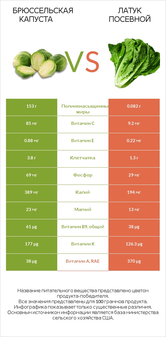 Брюссельская капуста vs Латук посевной infographic