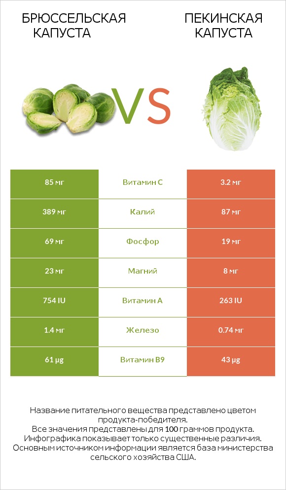 Брюссельская капуста vs Пекинская капуста infographic