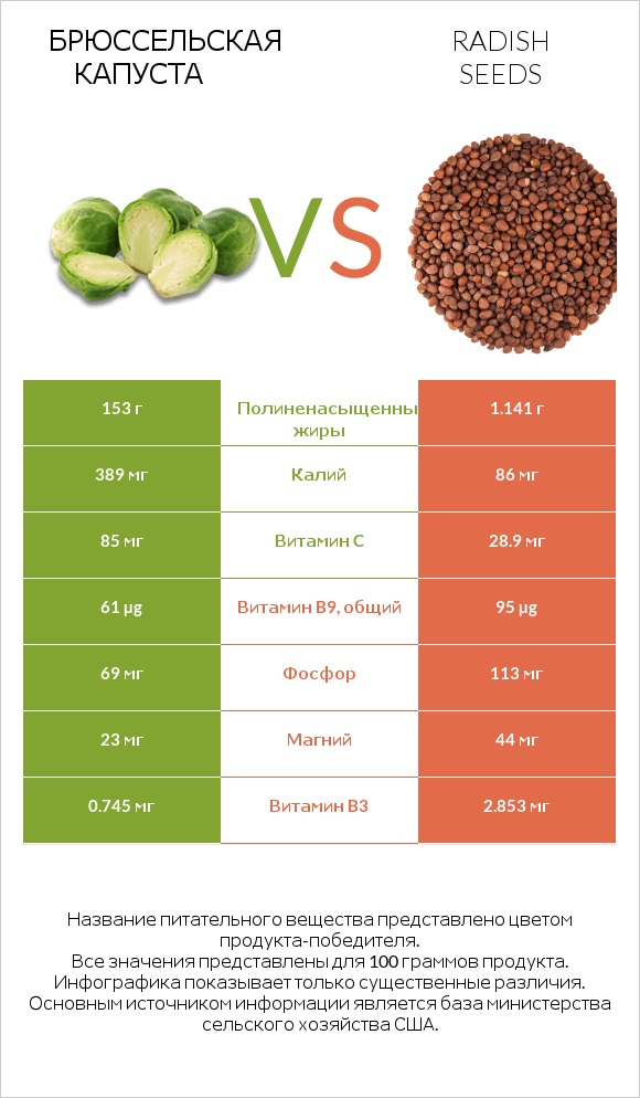 Брюссельская капуста vs Radish seeds infographic