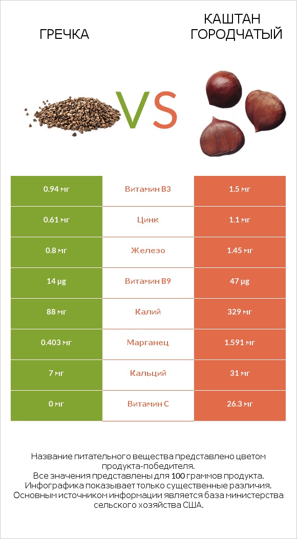 Гречка vs Каштан городчатый infographic