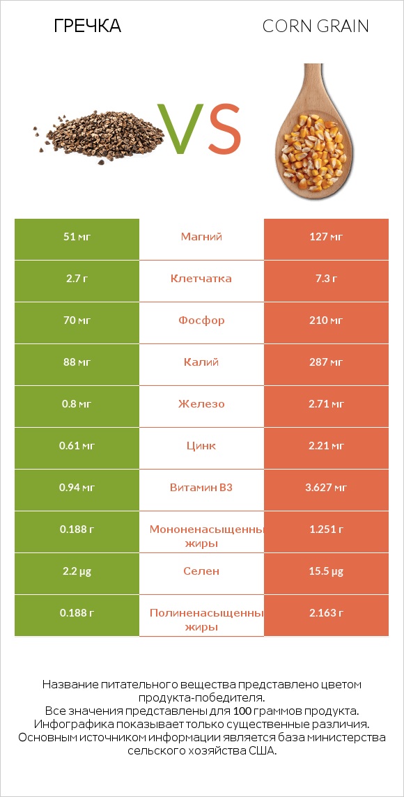 Гречка vs Corn grain infographic