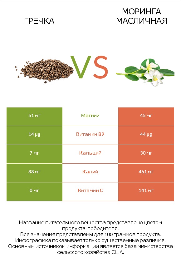 Гречка vs Моринга масличная infographic