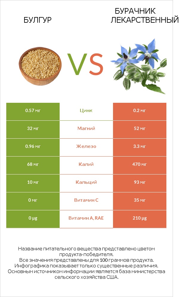 Булгур vs Бурачник лекарственный infographic