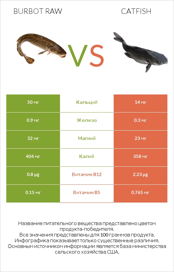 Burbot raw vs Catfish infographic