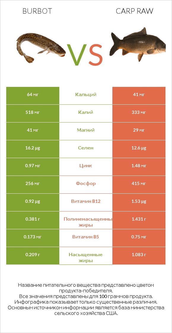 Burbot vs Carp raw infographic