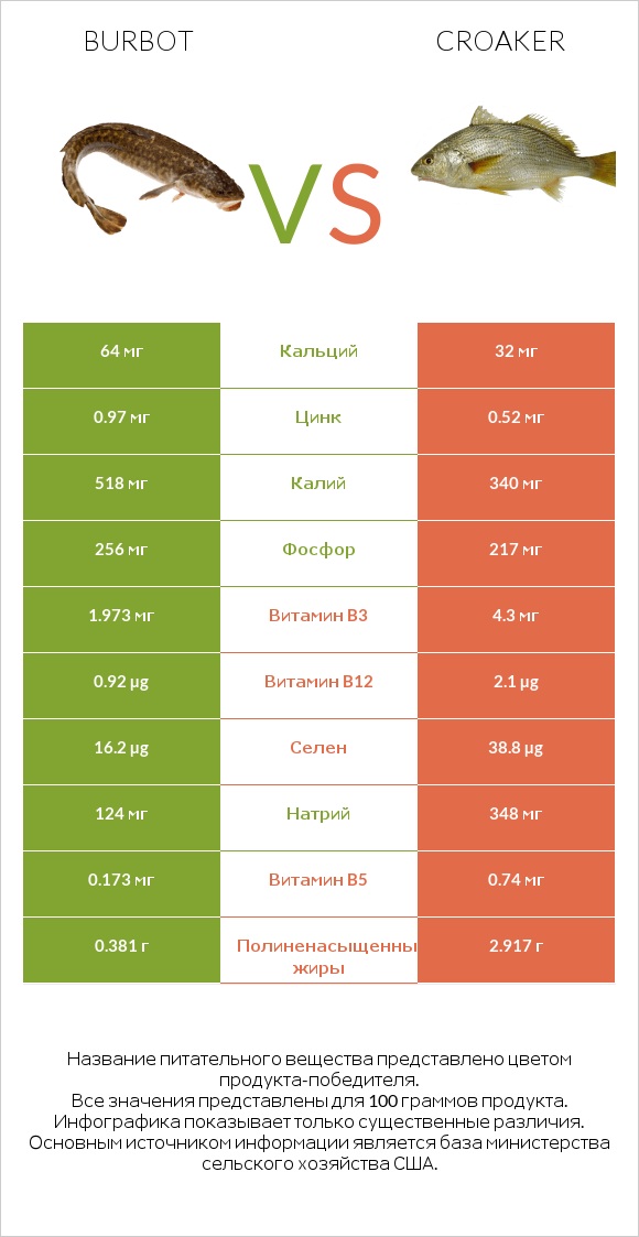 Burbot vs Croaker infographic