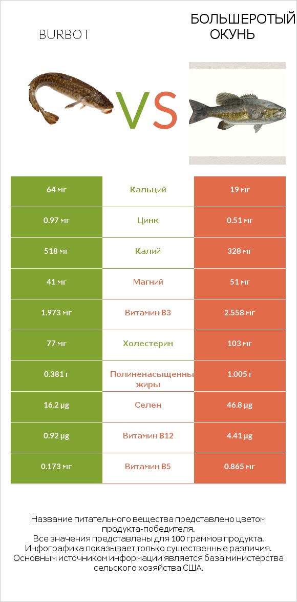 Burbot vs Большеротый окунь infographic