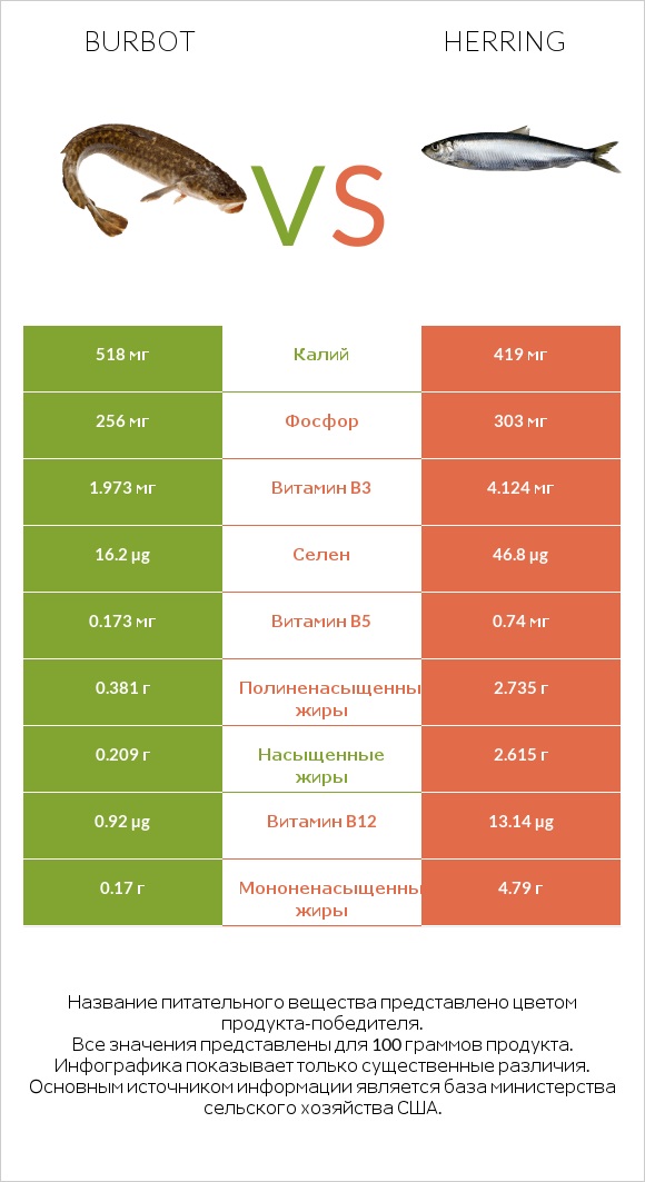 Burbot vs Herring infographic