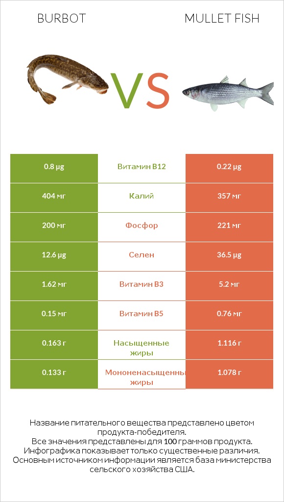 Burbot vs Mullet fish infographic