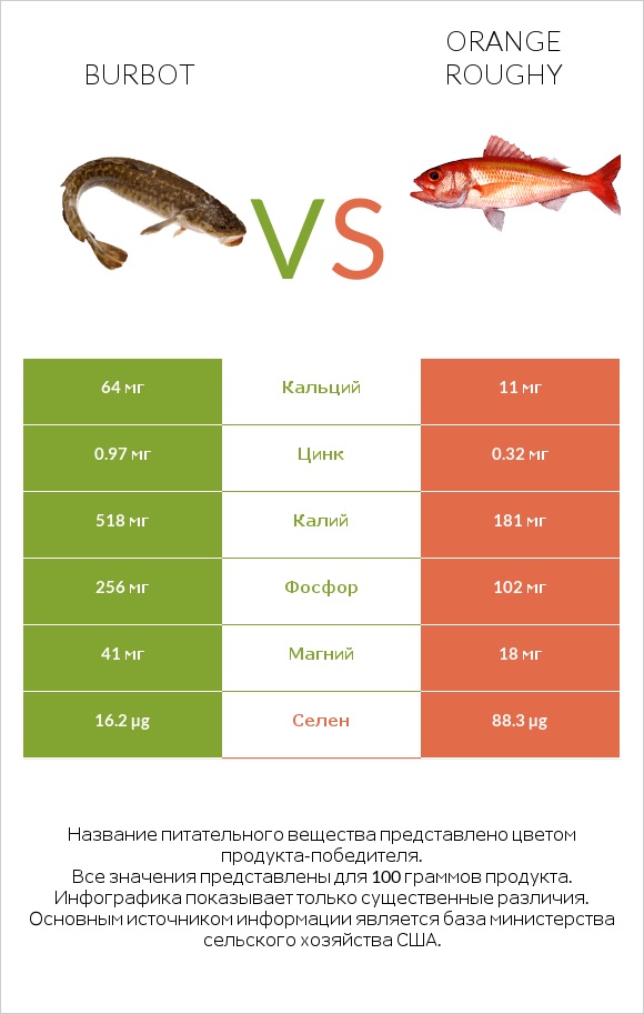 Burbot vs Orange roughy infographic