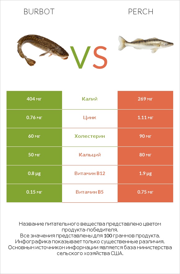 Burbot vs Perch infographic