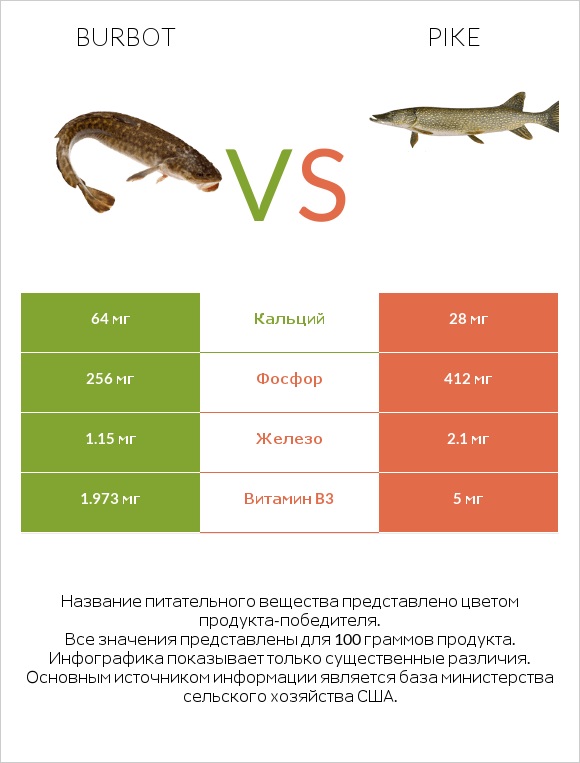 Burbot vs Pike infographic