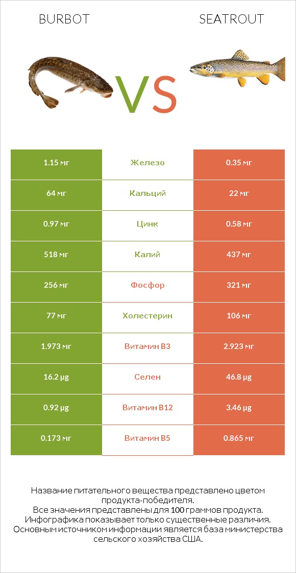 Burbot vs Seatrout infographic