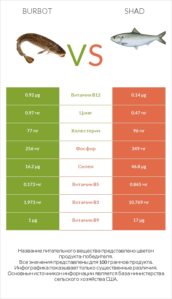 Burbot vs Shad infographic