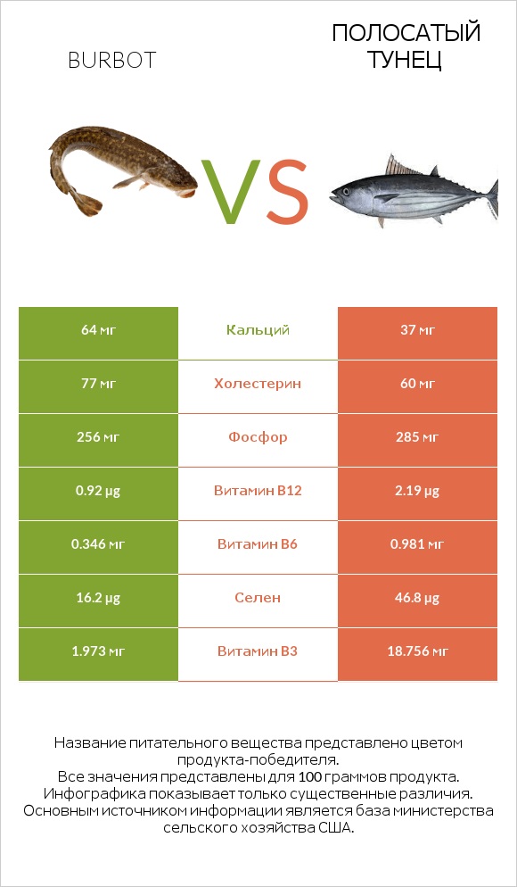 Burbot vs Полосатый тунец infographic