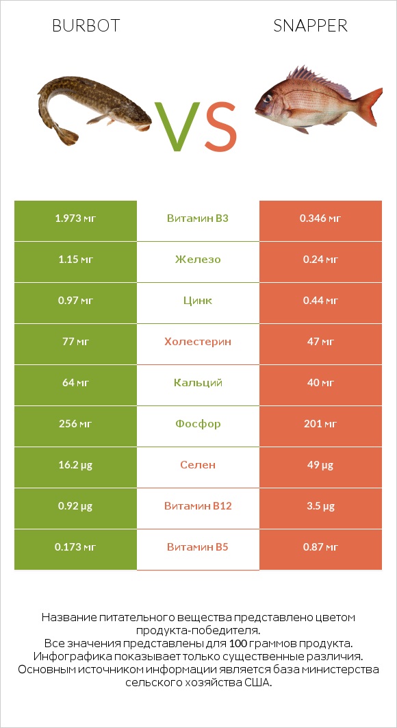 Burbot vs Snapper infographic