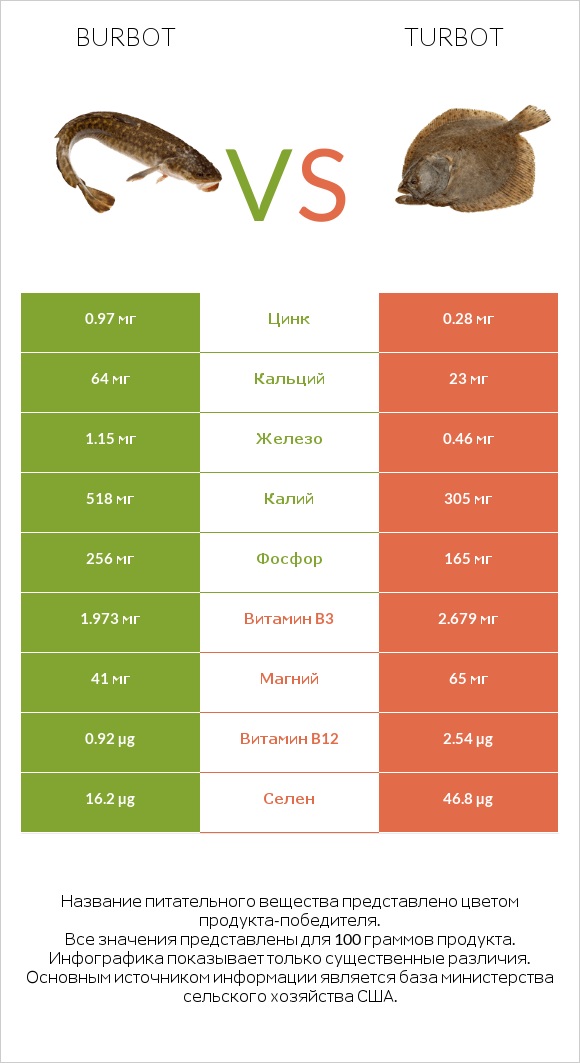 Burbot vs Turbot infographic