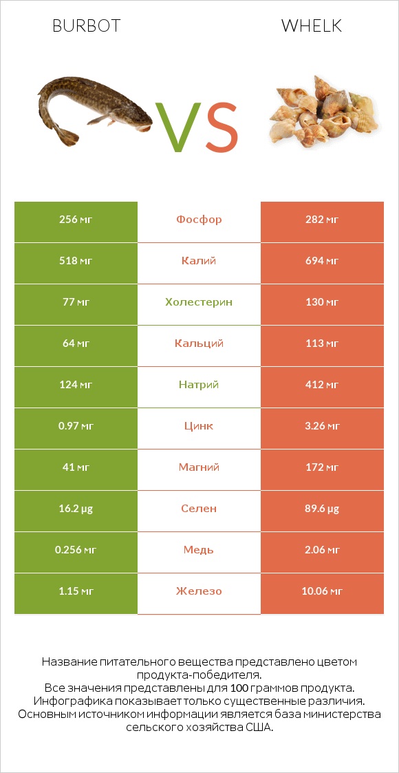 Burbot vs Whelk infographic