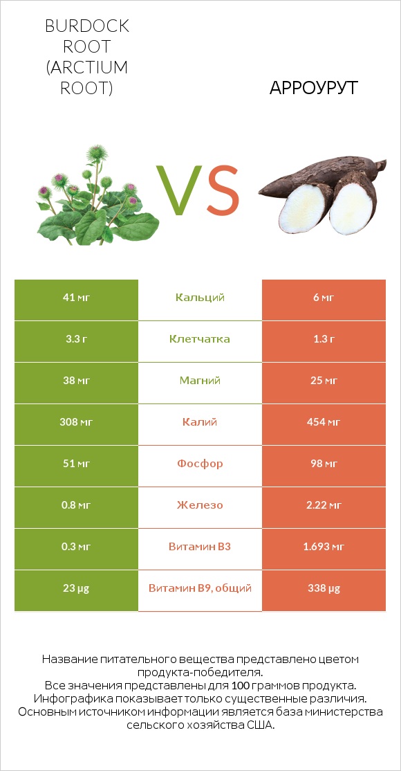 Burdock root vs Арроурут infographic