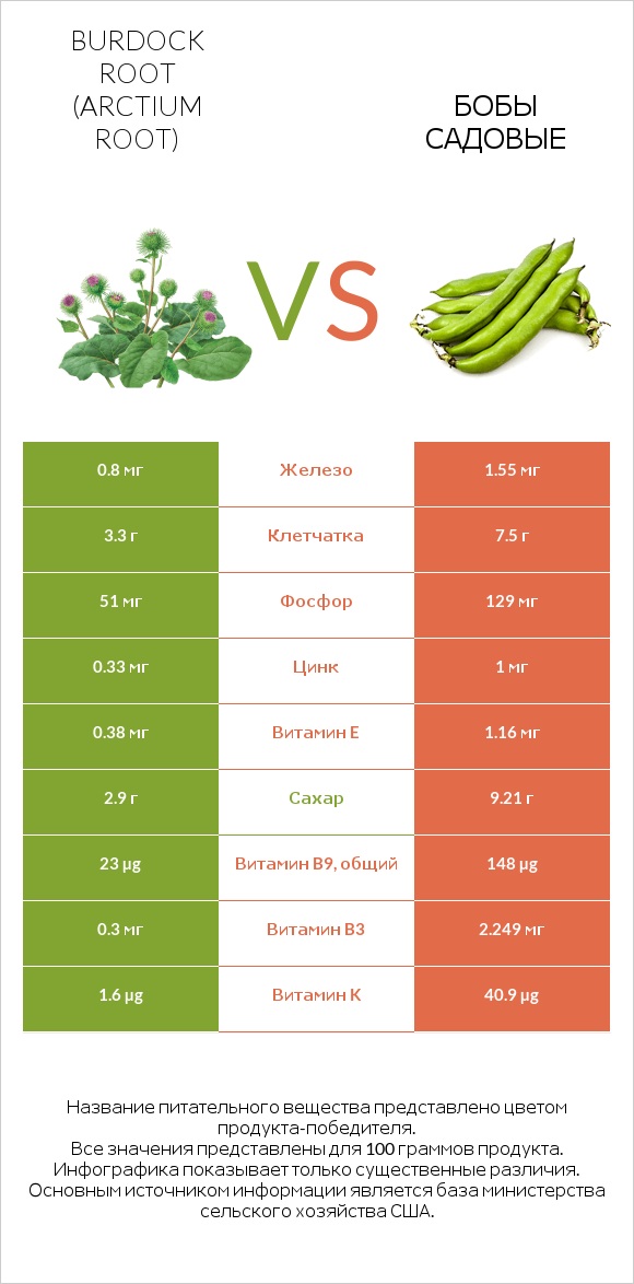 Burdock root vs Бобы садовые infographic