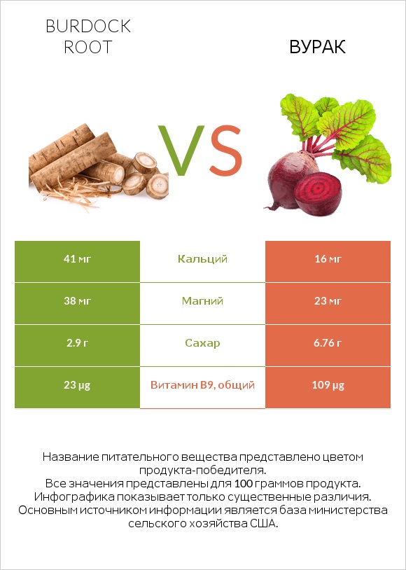 Burdock root vs Вурак infographic