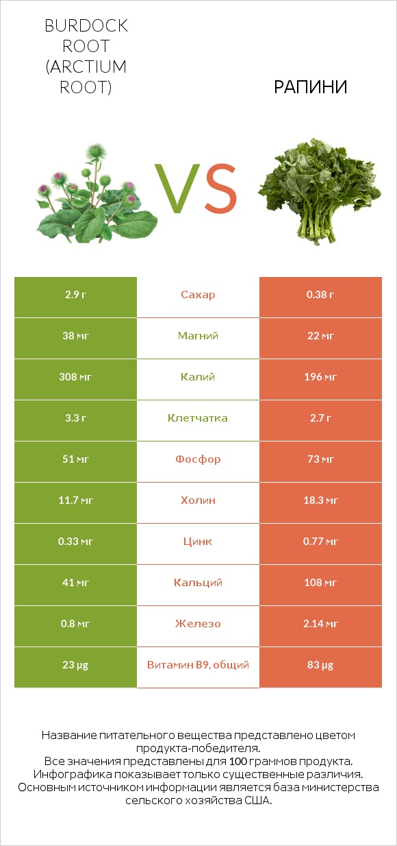 Burdock root vs Рапини infographic
