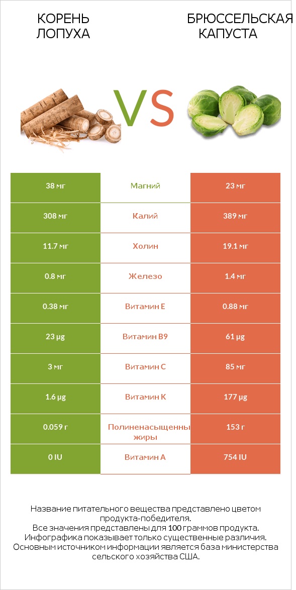 Корень лопуха vs Брюссельская капуста infographic