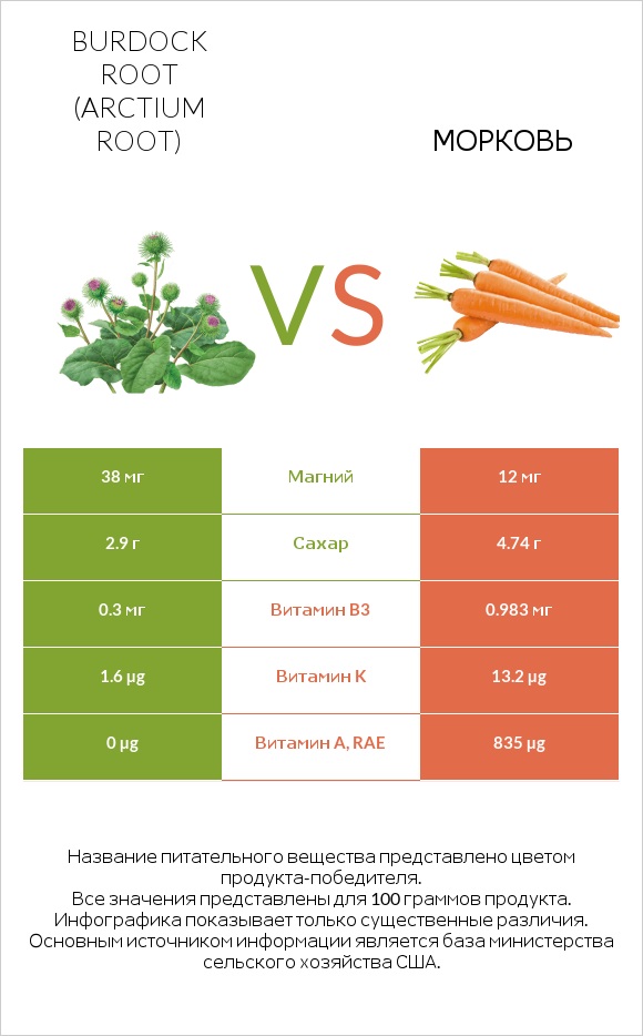 Burdock root vs Морковь infographic