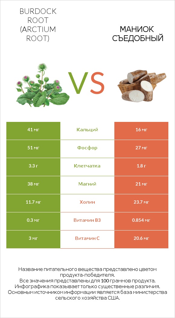 Burdock root vs Маниок съедобный infographic