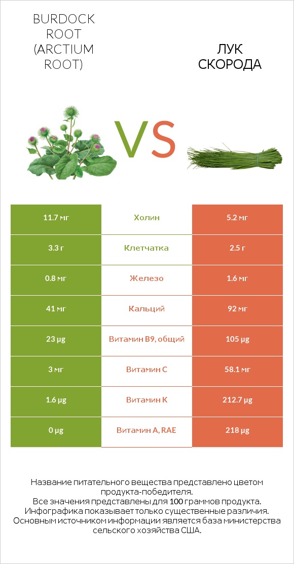 Burdock root vs Лук скорода infographic