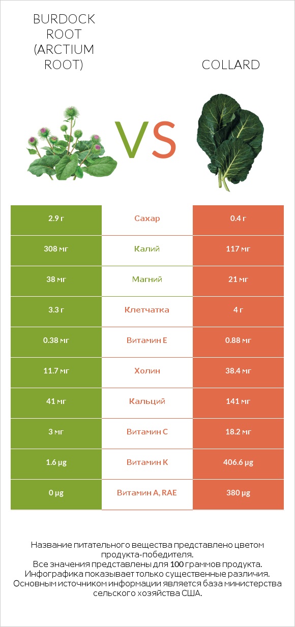 Burdock root vs Collard infographic