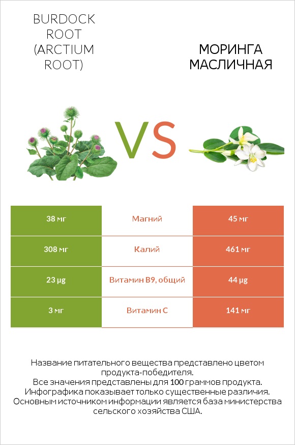 Burdock root vs Моринга масличная infographic