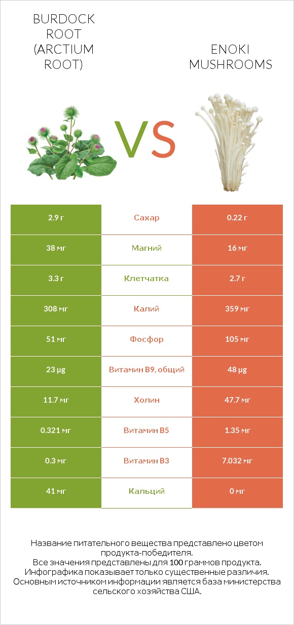 Burdock root vs Enoki mushrooms infographic