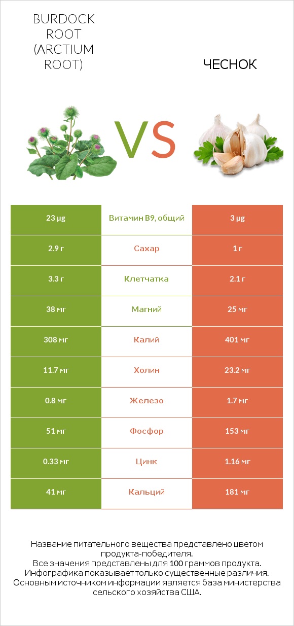 Burdock root vs Чеснок infographic