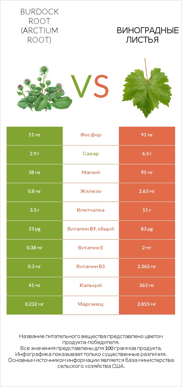 Burdock root vs Виноградные листья infographic
