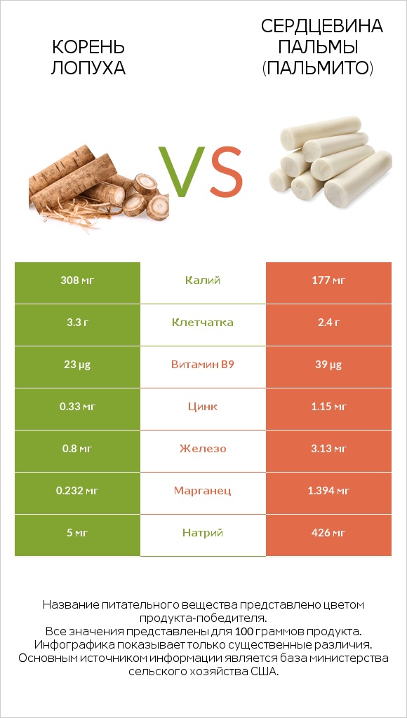 Burdock root vs Hearts of palm infographic