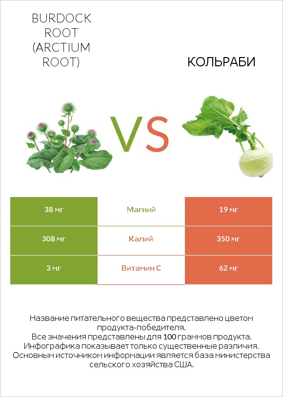 Burdock root vs Кольраби infographic
