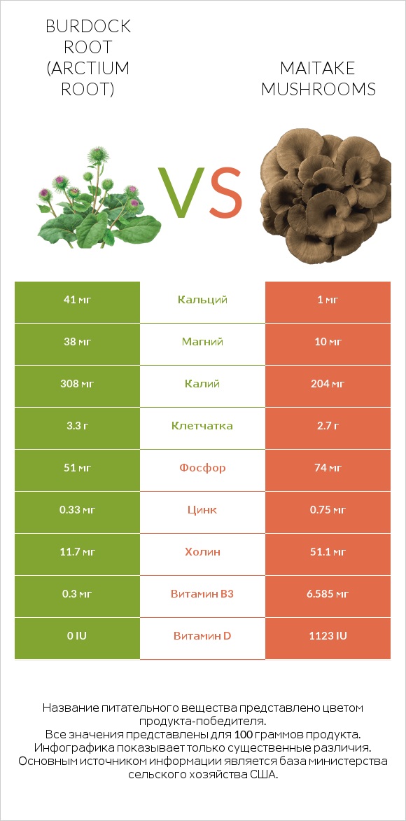 Burdock root vs Maitake mushrooms infographic