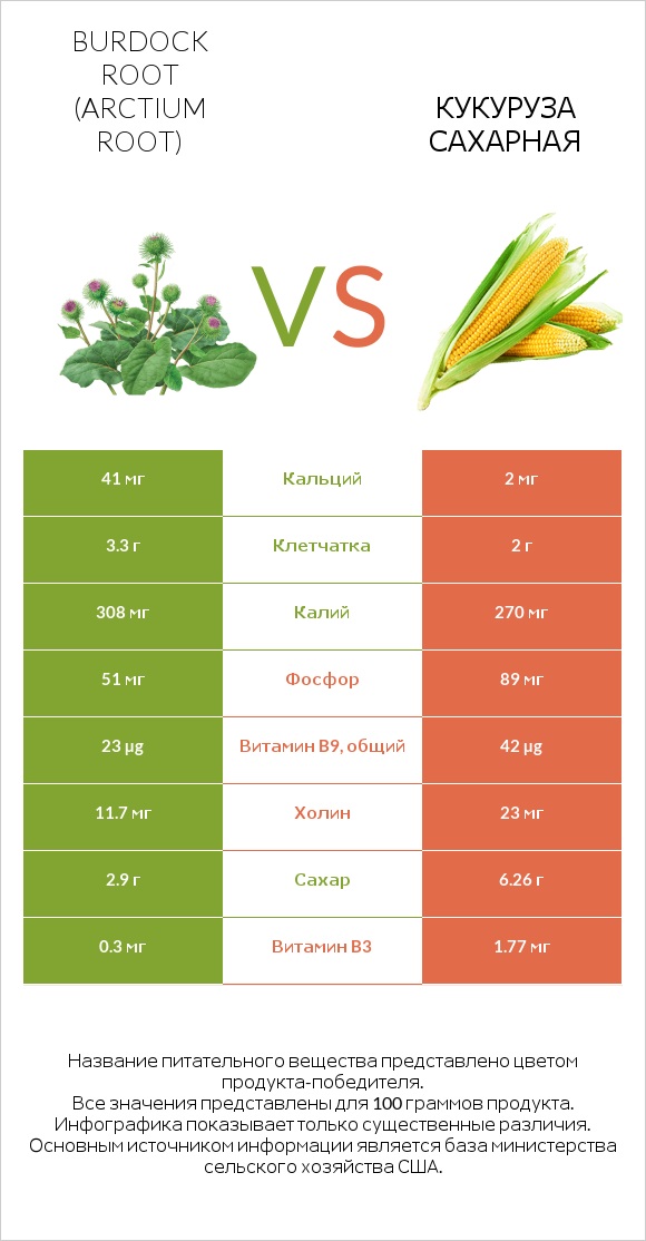 Burdock root vs Кукуруза сахарная infographic