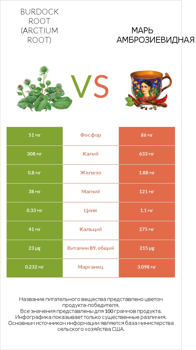 Burdock root vs Марь амброзиевидная infographic
